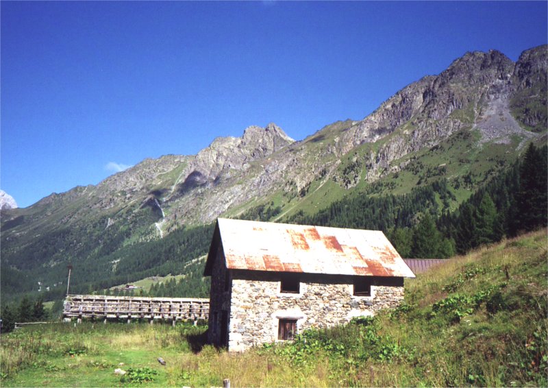 foto 16 - almhütte cra sissanis di sotto