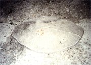 Bunkeranlage Tilliacher Joch - Reste von Adler auf unterem Betonbunker