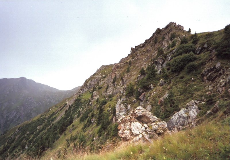 foto 87 - abstieg vom hochgr&auml;ntenjoch &uuml;ber zenzerspitze richtung sillian